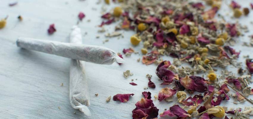 Herbal Smoking - Enjoy a Healthy Life While Puffing the Herbal Smoke
