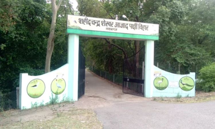 A Picnic at Nawabganj Bird Sanctuary