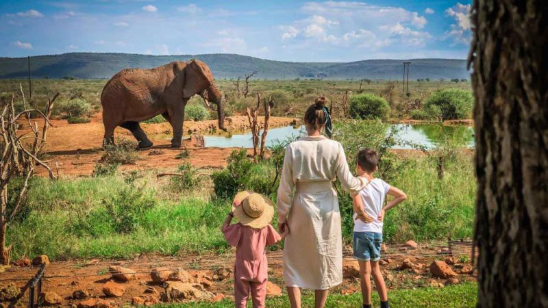 African Safari for the Family