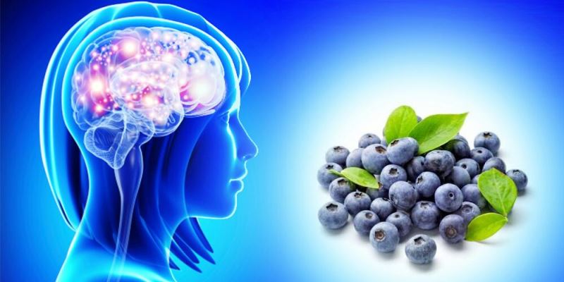 Health Benefits of Blueberries
