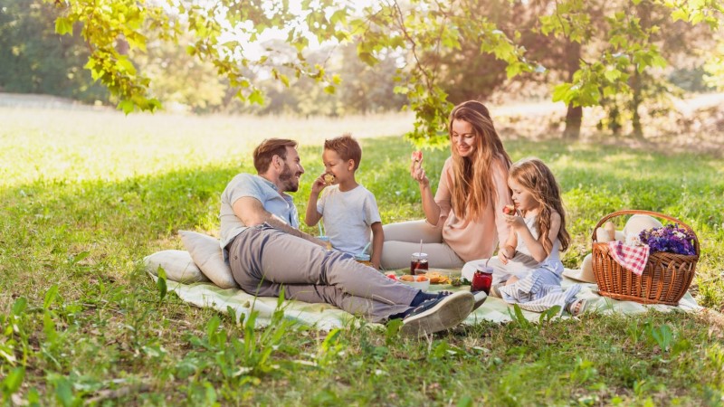 Tips For Planning A Family Picnic