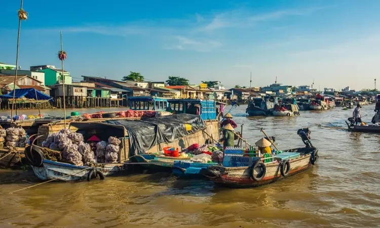 The Mekong River Delta: A Captivating Tapestry of Nature and Culture