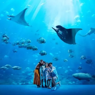 S.E.A. Aquarium: An Oceanic Wonderland of Marine Life Exploration