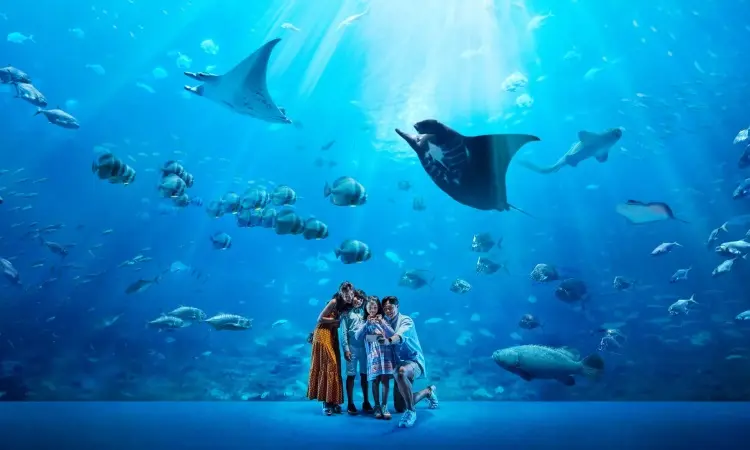 S.E.A. Aquarium: An Oceanic Wonderland of Marine Life Exploration