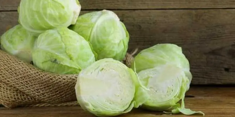 Unveiling the Power of Cabbage Soup Diet Ingredients